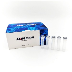 [AMPLIFION] DNA 추출키트 EASYPREP DNA Extraction kit